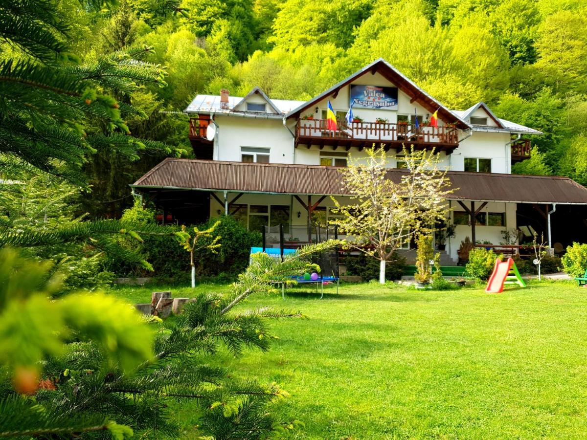 Pensiunea Valea Negrasului Trăisteni المظهر الخارجي الصورة