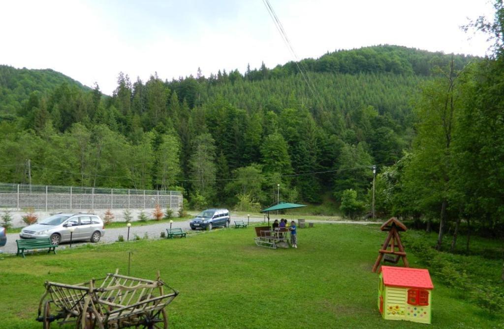 Pensiunea Valea Negrasului Trăisteni المظهر الخارجي الصورة