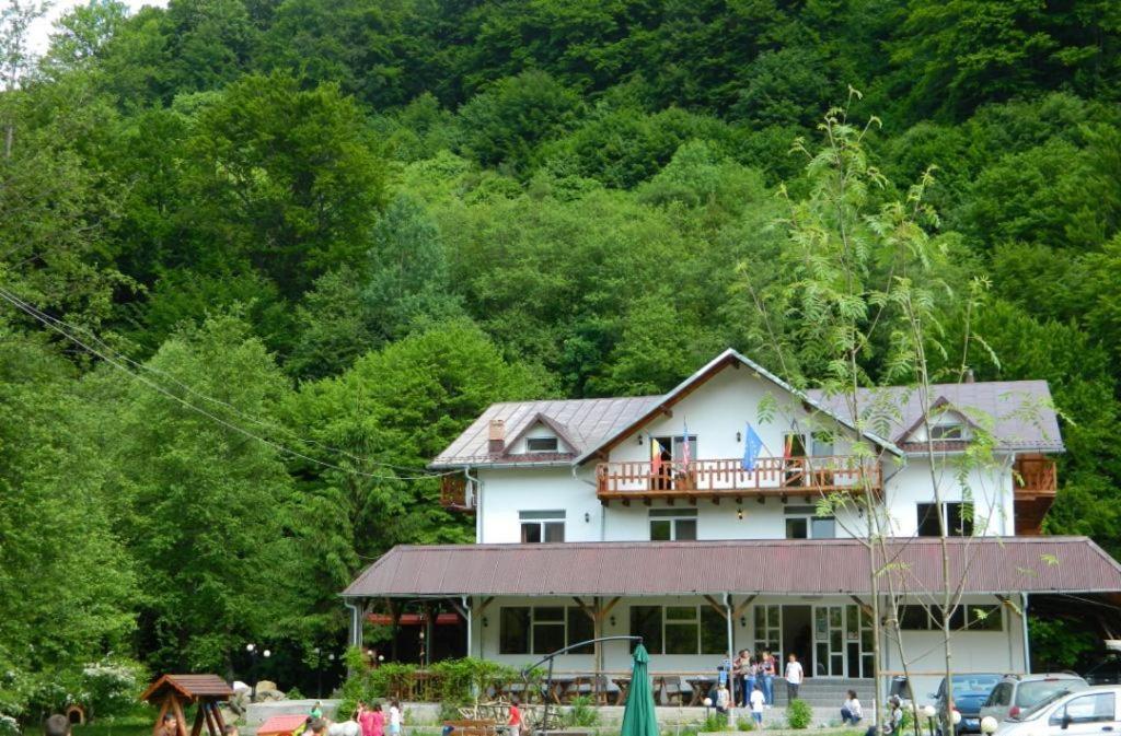 Pensiunea Valea Negrasului Trăisteni المظهر الخارجي الصورة